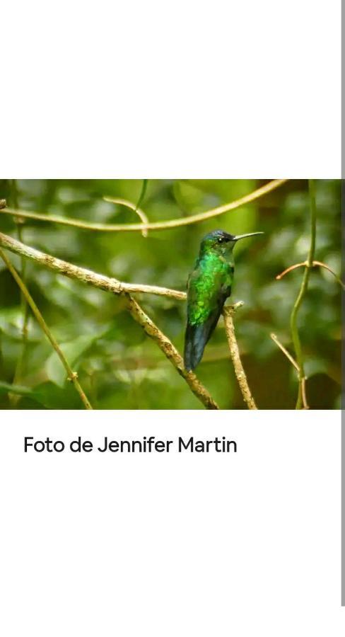 Jardín de Naipí 2 Porto Iguaçu Exterior foto