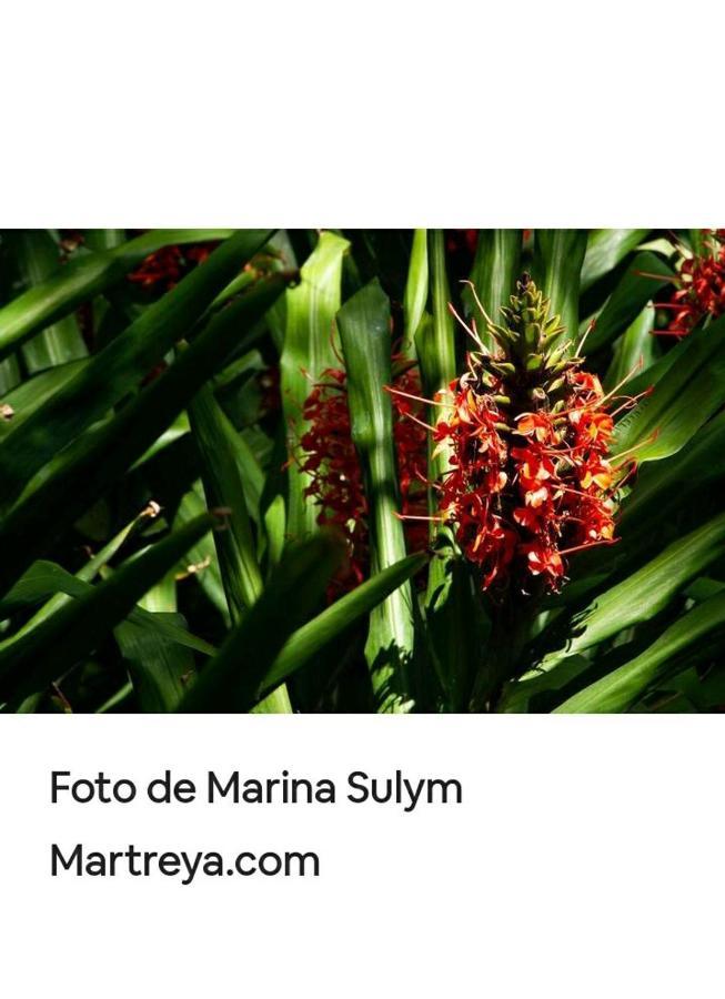 Jardín de Naipí 2 Porto Iguaçu Exterior foto